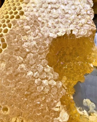 Organic honey comb