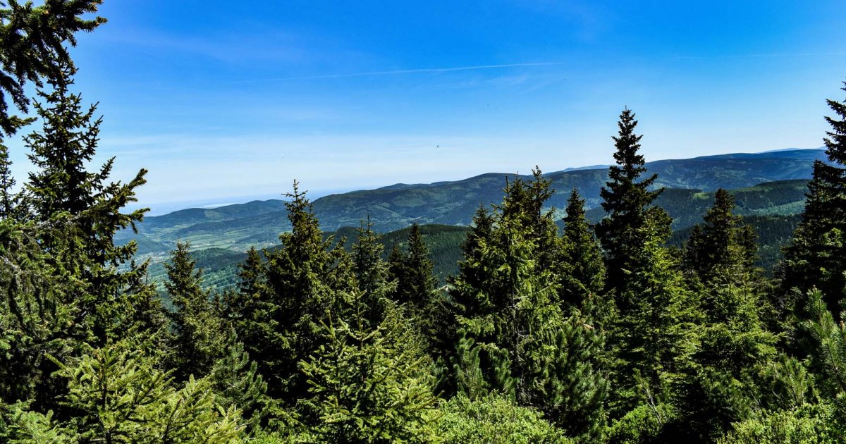 Aparthotel Panorama Czarna G&oacute;ra
