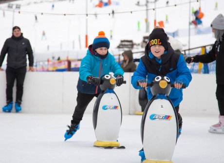 Ledová plocha Ice Arena Czarna Góra