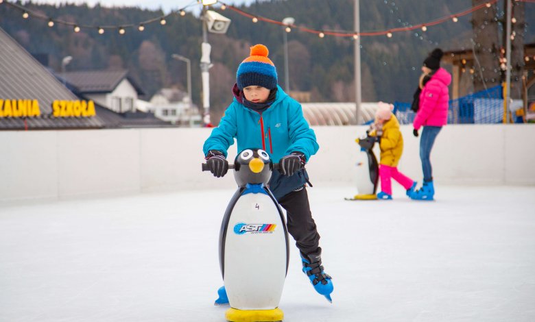 Ledová plocha Ice Arena Czarna Góra