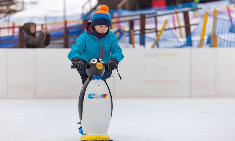 Ledová plocha Ice Arena Czarna Góra