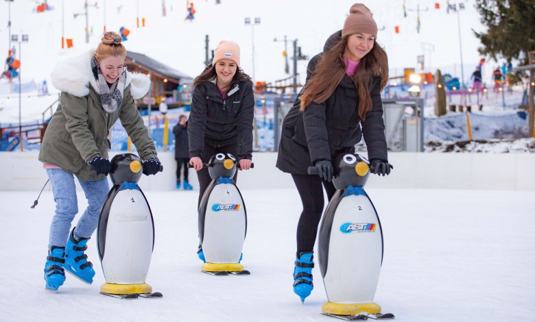 Ledová plocha Ice Arena Czarna Góra