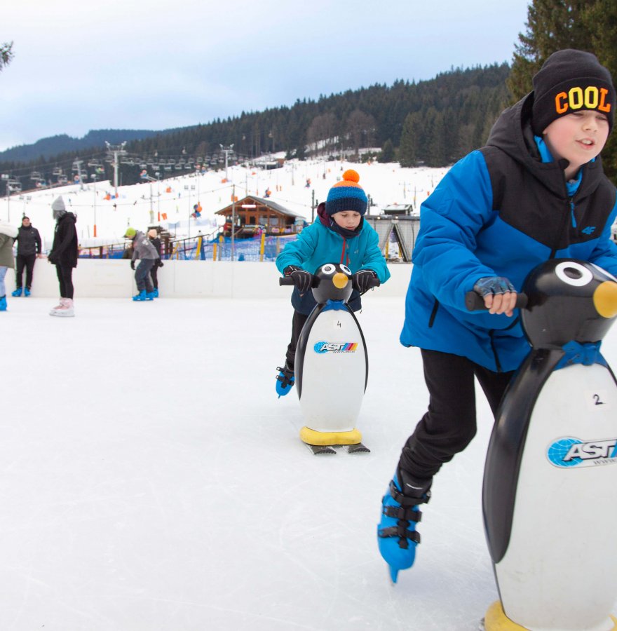 Ledová plocha Ice Arena Czarna Góra