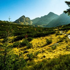 Zastanawiacie się, gdzie pojechać wiosną? Odpowiadamy: Spotkajmy się w Zakopanem!