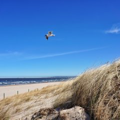 Powiew morskiej bryzy