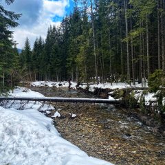 Zimowe krajobrazy na ferie