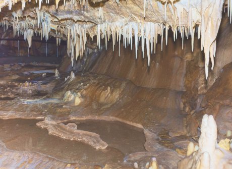 Medvědí jeskyně v Kletně