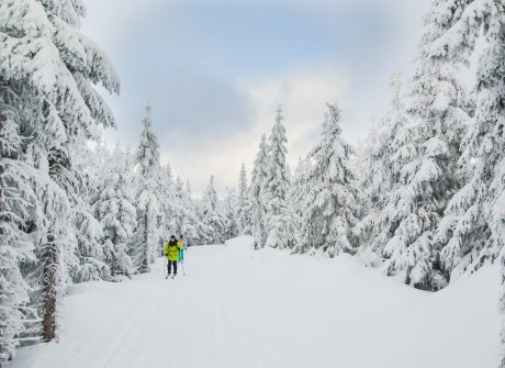 Více než 200 km běžkařských tratí v bezprostředním okolí.