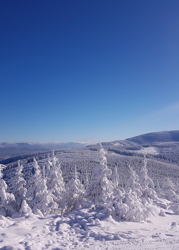 Strefa Czystego Powietrza