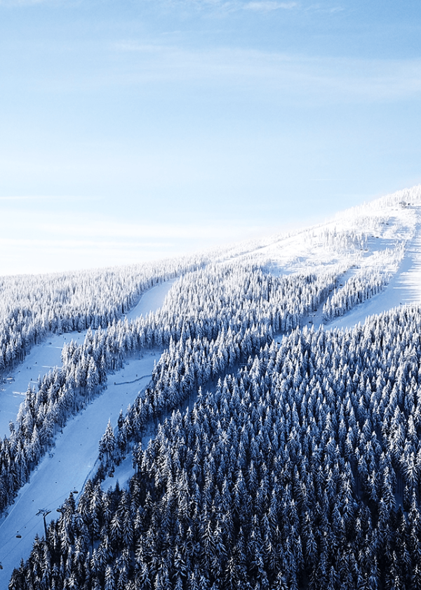 Unikátní aparthotel