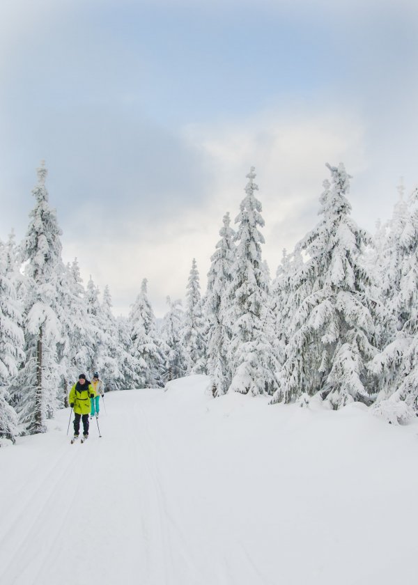 Strefa Czystego Powietrza
