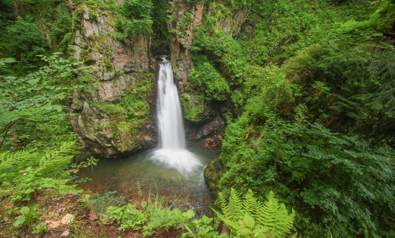 Wodospad Wilczki i zabytki architektury drewnianej w Międzygórzu