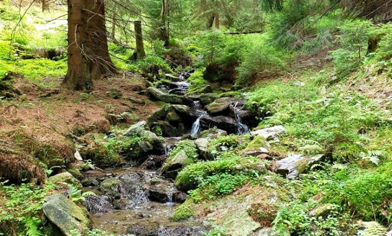 Jedna z největších sítí Singletrack