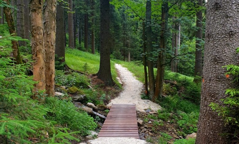 Jedna z největších sítí Singletrack