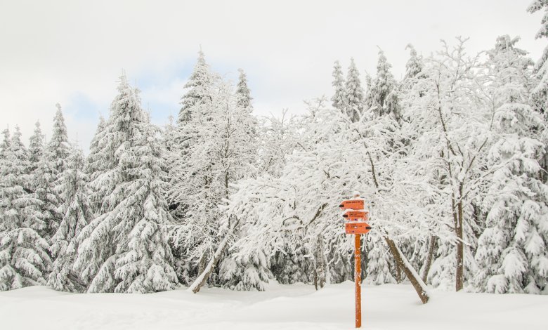 Zimowe spacery w górach