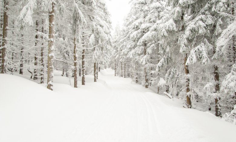 Zimowe spacery w górach