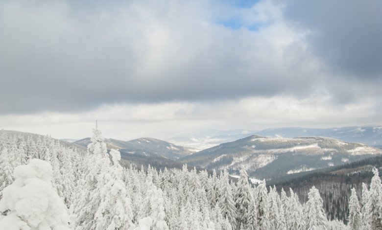 Více než 200 km běžkařských tratí v bezprostředním okolí.