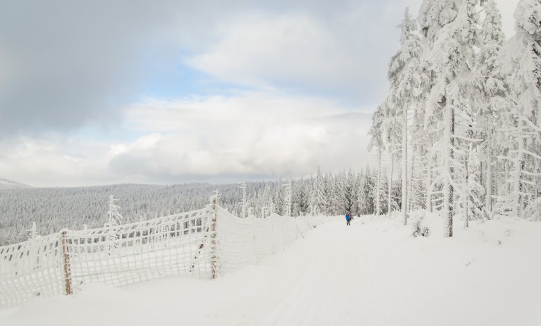 Zimowe spacery w górach