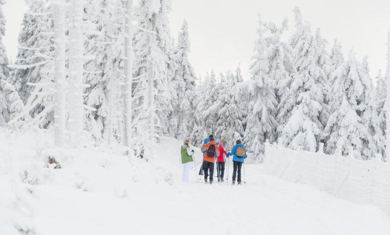 Více než 200 km běžkařských tratí v bezprostředním okolí.