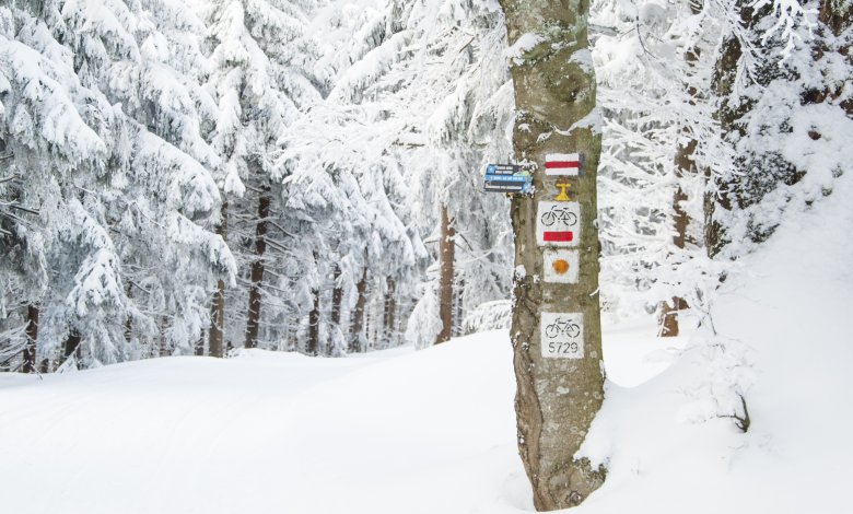 Více než 200 km běžkařských tratí v bezprostředním okolí.
