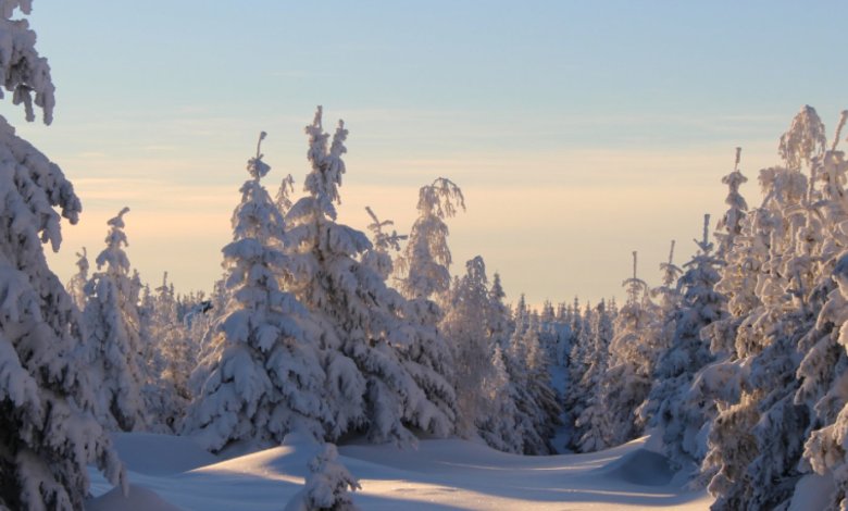 Výlet na horu Sněžník