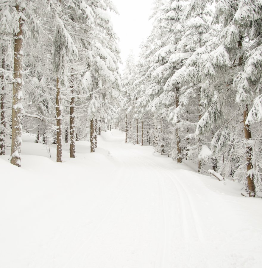 Více než 200 km běžkařských tratí v bezprostředním okolí.