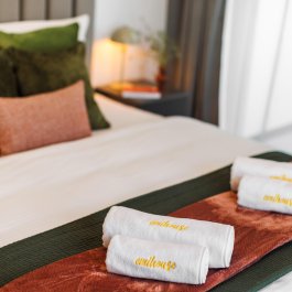 Deluxe z 1 sypialnią