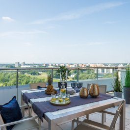 Deluxe z 1 sypialnią i tarasem