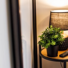 Superior z 1 sypialnią