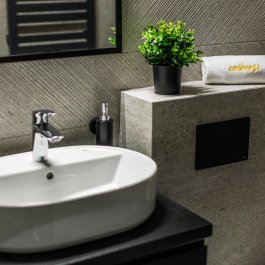 Superior z 1 sypialnią