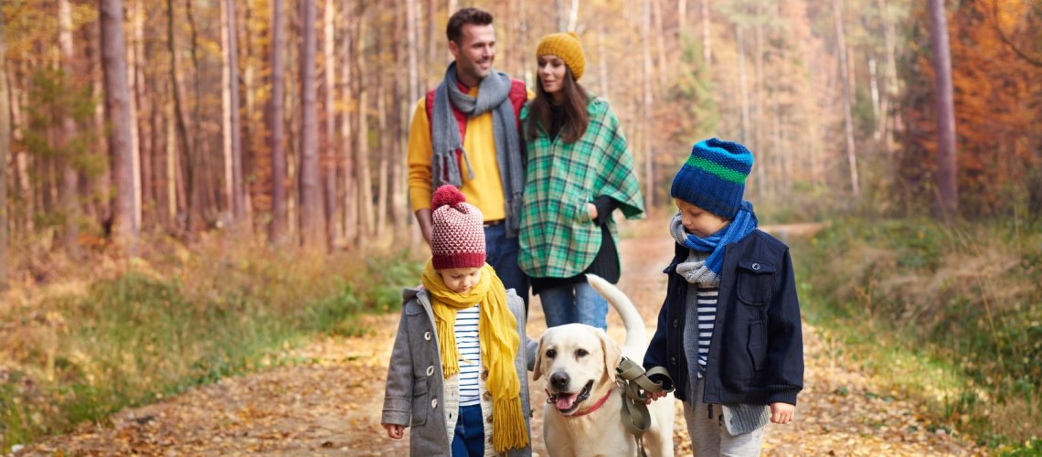 Kommen Sie im Herbst in die Dreistadt