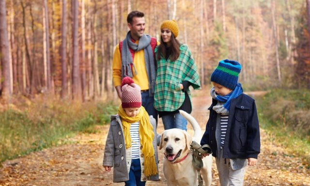 Kommen Sie im Herbst in die Dreistadt