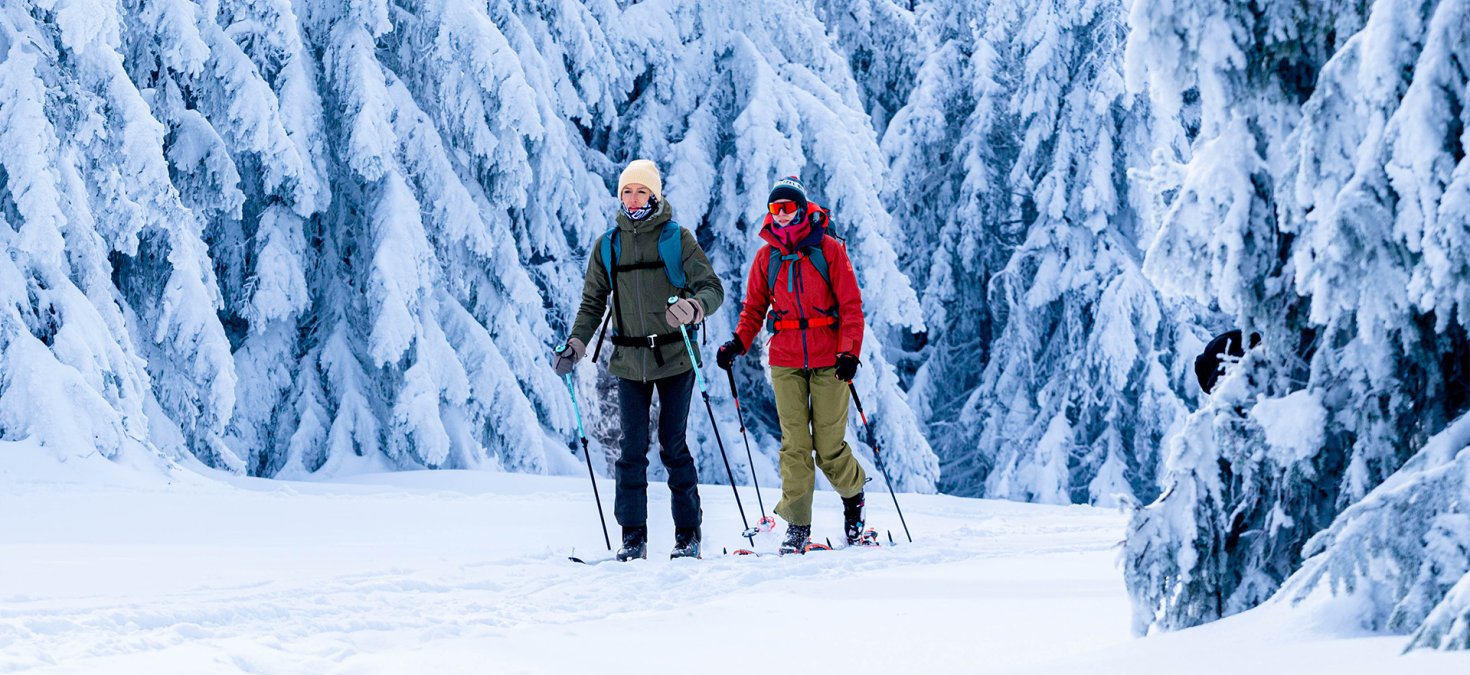 Tuleni na Śnieżnik, aneb o čem je skitouring