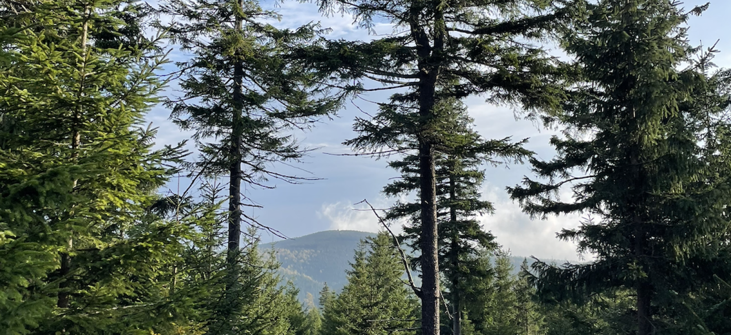 Rudawiec - Najwyższy szczyt Gór Bialskich