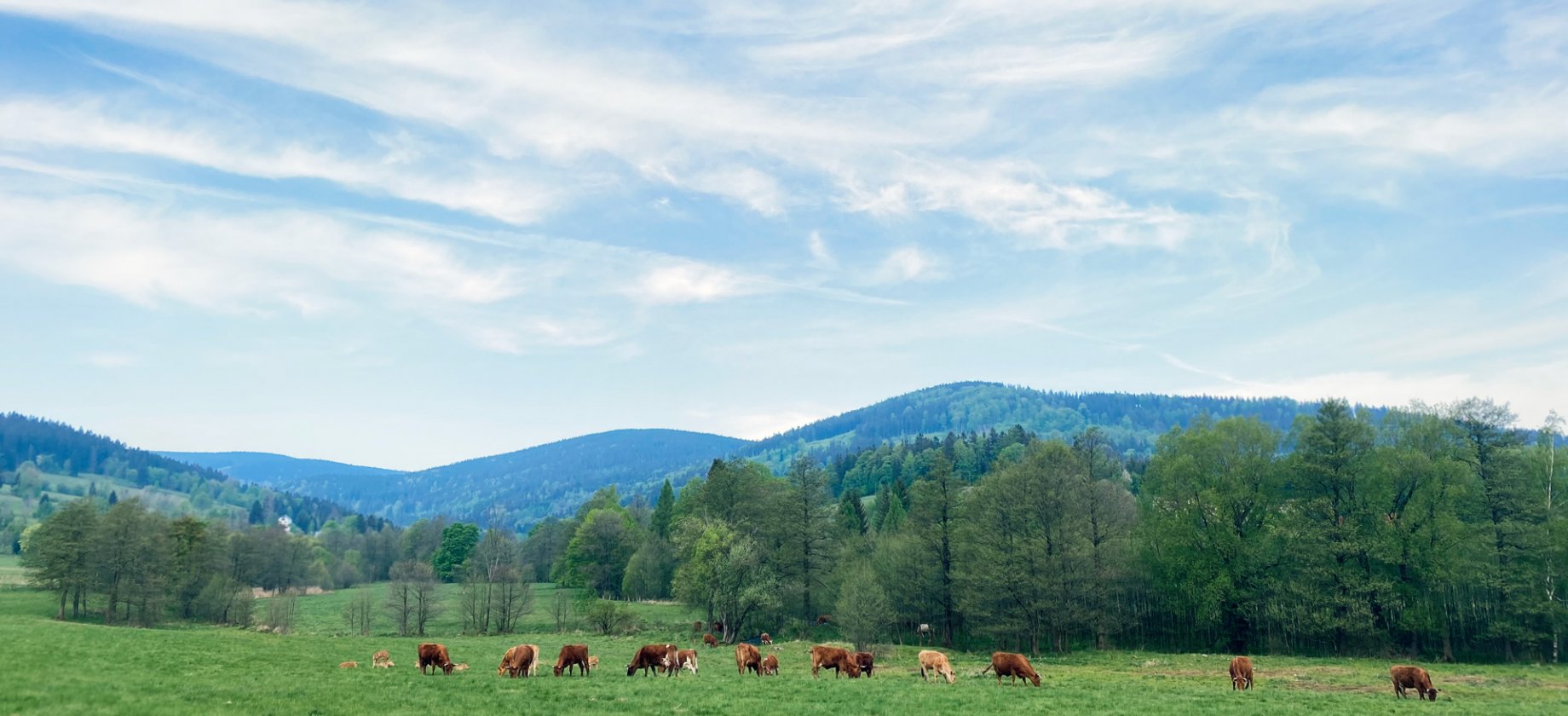 Kozia Bródka <br> Skała Marianny