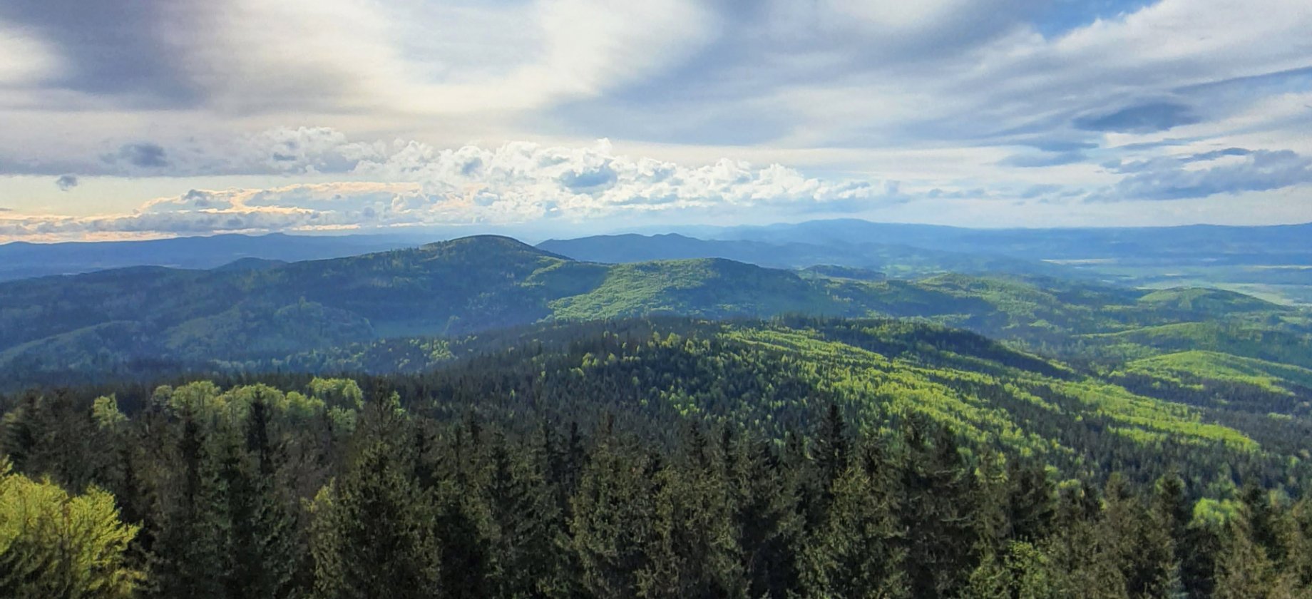 Borówkowa 900 m n.p.m. - Piękne widoki, wieża widokowa i prosty szlak turystyczne