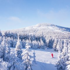 Wypoczynek? Naturalnie! O potrzebie kontaktu z przyrodą