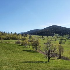 Nordic walking w Sudetach – jak zacząć i gdzie wytyczyć trasy?