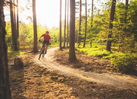 Rowerowy Singletrack Glacensis