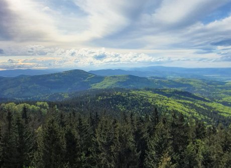Borówkowa 900 m n.p.m. - Piękne widoki, wieża widokowa i prosty szlak turystyczne
