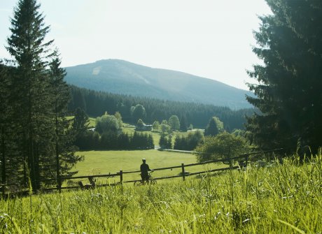 Pętla Rudka <br> Singletrack Glacensis