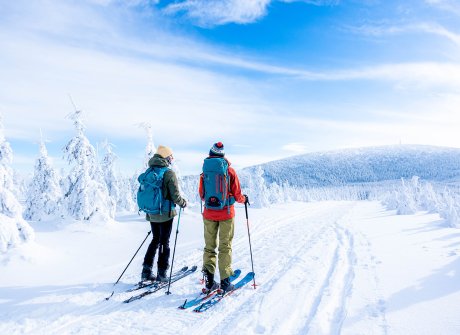 Foki na Śnieżniku, czyli o co chodzi w skiturach