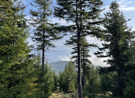 Rudawiec - Najwyższy szczyt Gór Bialskich