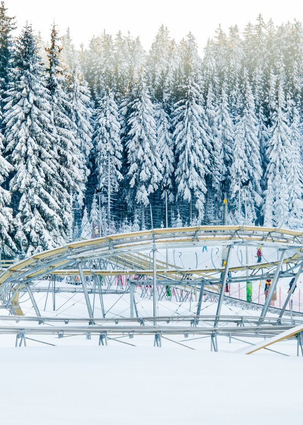 Ścieżka w Obłokach