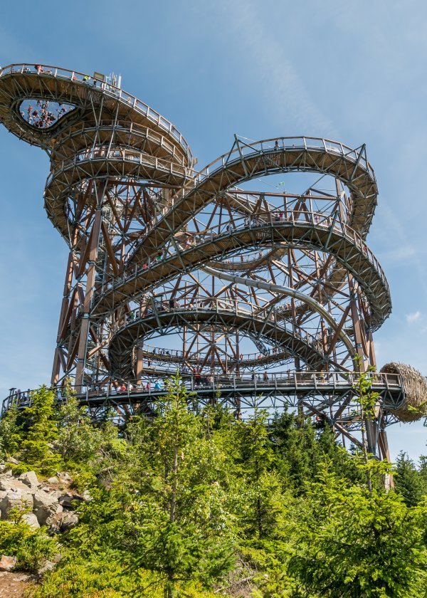 Ścieżka w Obłokach