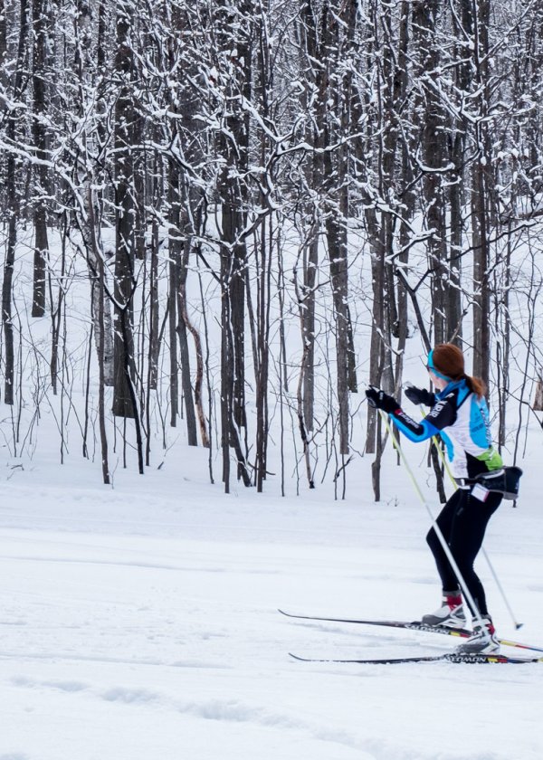 Biegówki w Bielicach