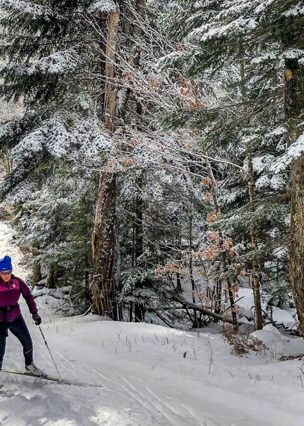 Biegówki w Bielicach