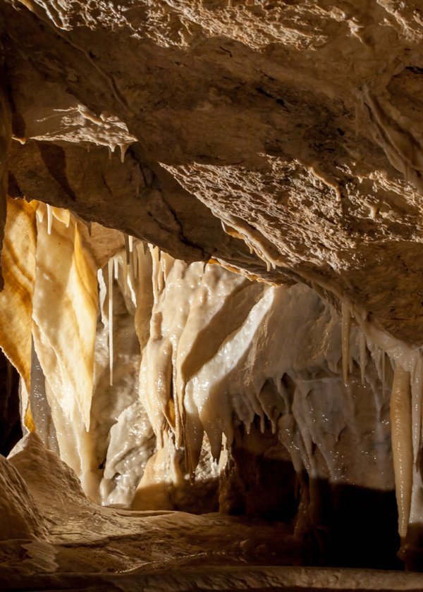 Jaskinia Niedźwiedzia