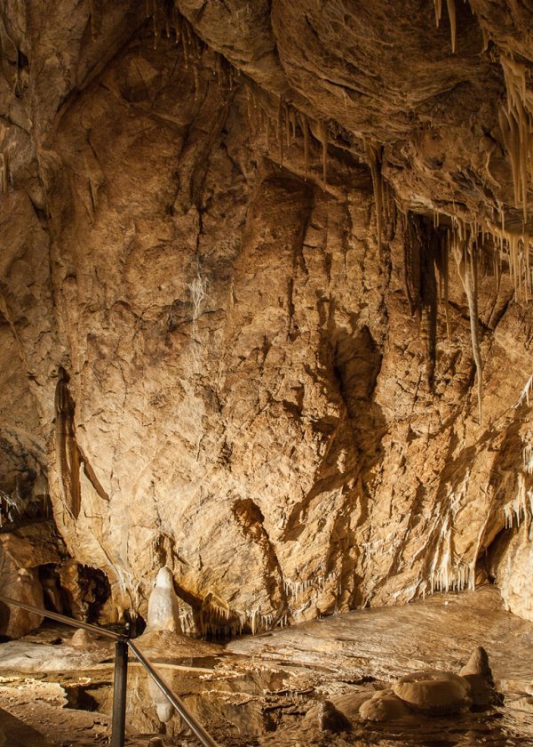 Jaskinia Niedźwiedzia