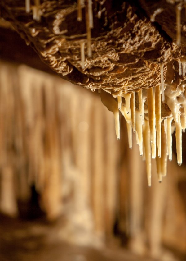 Jaskinia Niedźwiedzia